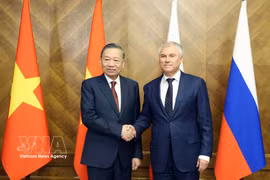 Генсек, Президент Вьетнама То Лам встретился с Председателем Государственной Думы РФ Вячеславом Володиным (Фото: ВИА)