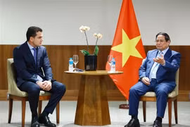 Премьер-министр Фам Минь Тьинь принял руководителей JSB Group — ведущей мировой группы в сфере пищевой промышленности (Фото: ВИА)