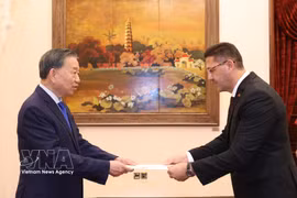 Генсек, Президент То Лам принимает посла Палестины Шади Абу Зарку (Фото: ВИА)