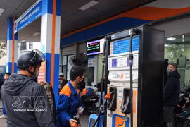 Два «крупных игрока» заранее внедряют решения по продаже бензина E10RON95 опережающими темпами» (Фото: ВИА)
