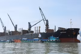Погрузка, транспортировка и обработка товарного риса, предназначенного для экспорта, Южной продовольственной корпорацией (Фото: ВИА) 