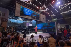 Посетители интересуют модель VF 6