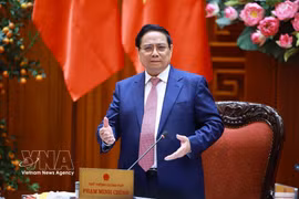 Премьер-министр Фам Минь Тьинь: регулировать цены на нефтепродукты на основе гармонизации интересов государства, населения и бизнеса (Фото: ВИА)