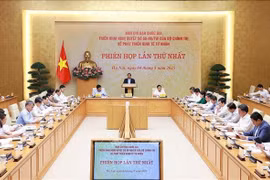 Первое заседание Национального руководящего комитета по развитию частного сектора экономики (Фото: ВИА)