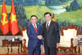 Постоянный член Секретариата ЦК КПВ Чан Кам Ту провёл встречу с Генеральным секретарём ЦК НРПЛ, Президентом Лаоса Тхонглун Сисулит (Фото: ВИА)
