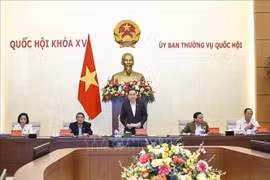 Председатель НС Чан Тхань Ман выступает на собрании (Фото: ВИА)